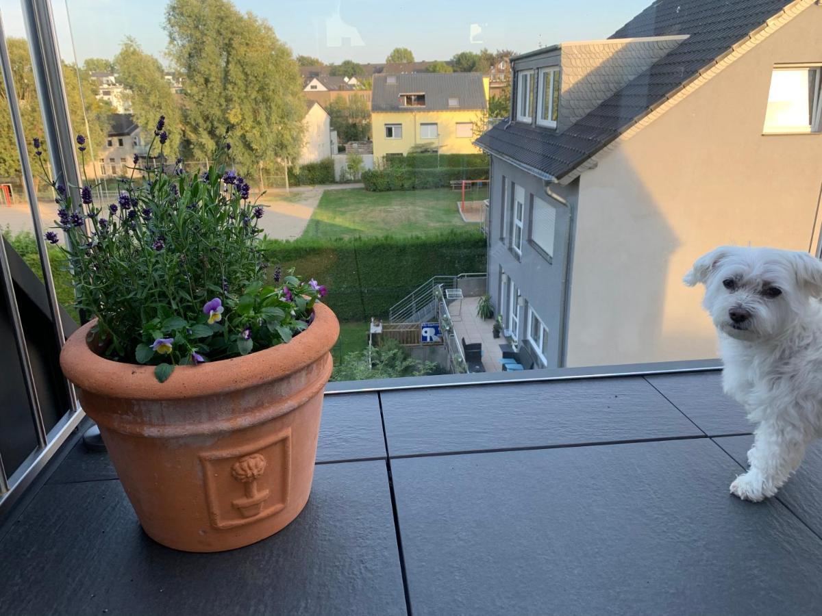 Apartment Brander Blick Aachen Bagian luar foto